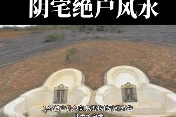 房子南有条河风水