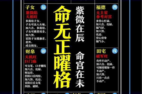 淄博紫微斗数 紫微斗数官网？