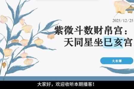 紫薇斗数财帛有天机