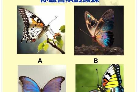 测试 - 未来一段时间你要小心哪类型的人？