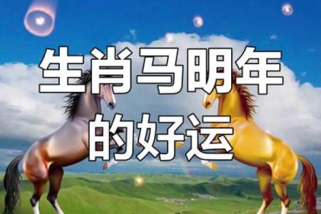 2015年属马办公室风水及事业运势