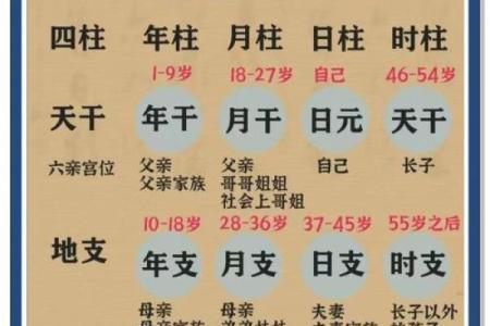 八字中不同日支的命运一样吗