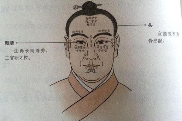 紫薇斗数科名星