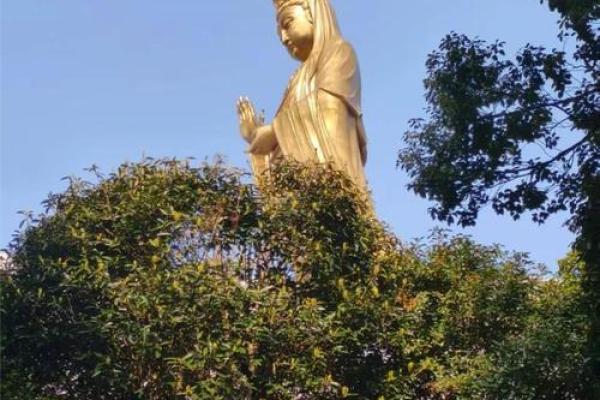 普陀山可以算命不给钱吗