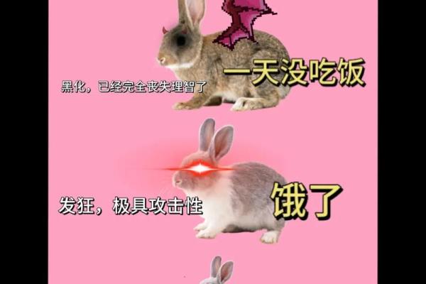 你相信紫薇斗数吗