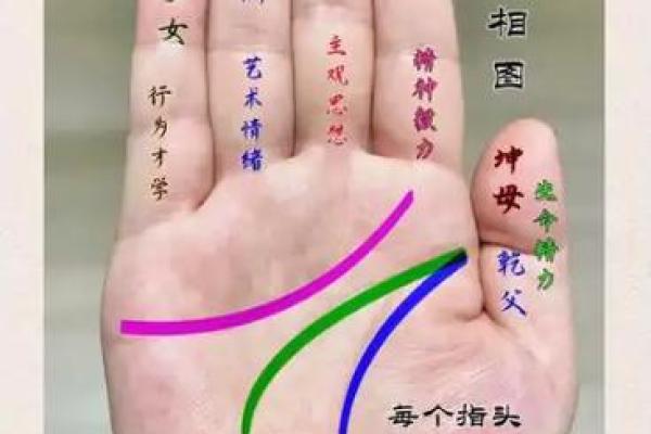 手型算命：兼形手的特质和命运