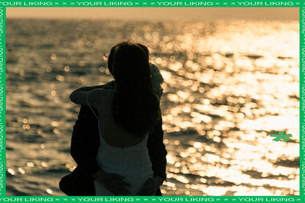 紫薇斗数事业宫有天姚