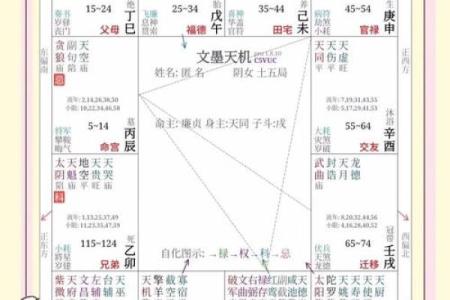 免费紫薇命运斗数