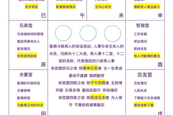 紫薇斗数如何排盘图