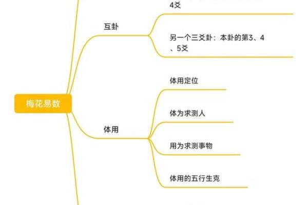 梅花易数与八字命理的区别