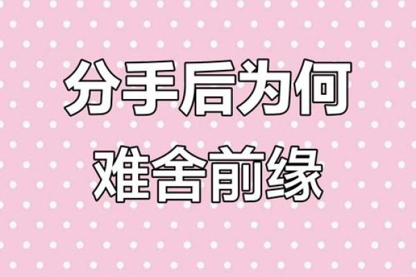 为什么八字合的也会分手