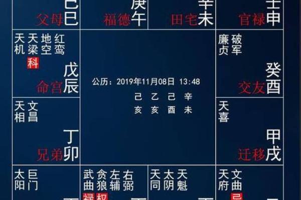 关于紫薇斗数软件安卓破解版的信息