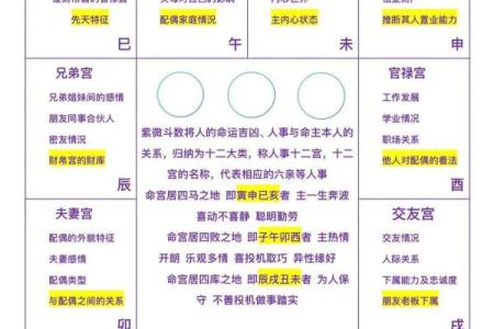 紫薇斗数如何排盘图