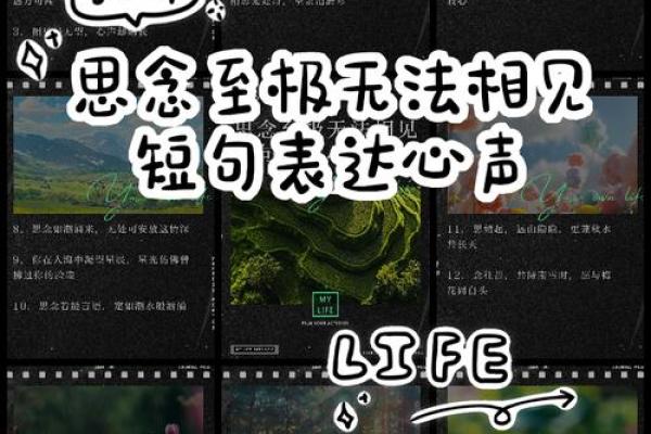 表达思念的八字短句