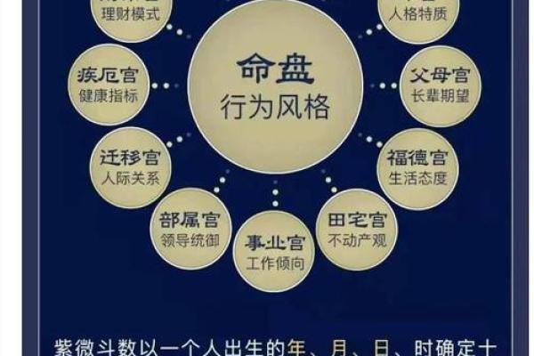 阳阳易经书店紫薇斗数