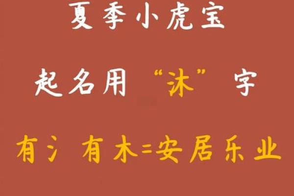 取名网免费姓名测试,虎宝宝取名心字好不好