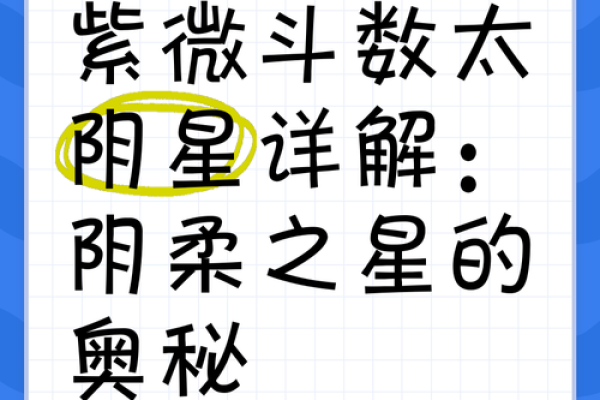 紫薇斗数一梦江湖太阴