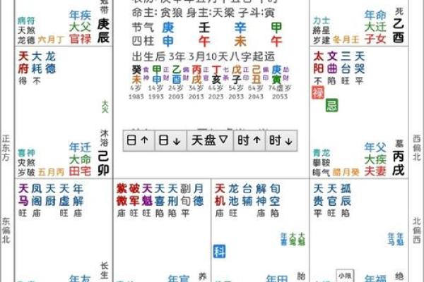 紫薇斗数怎么看