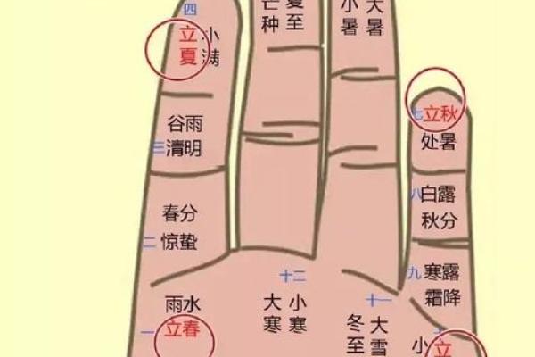 算命是用左手还是右手好