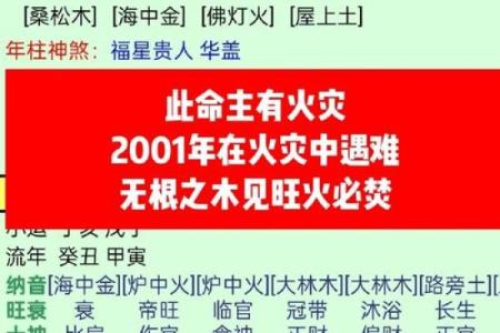 八字水多的人会怎样,八字无水的人很笨吗