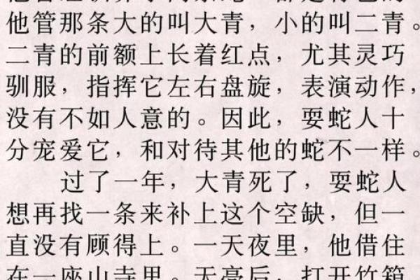 民间故事：两人去算命，同字不同命，算命先生说看看你身后有什么