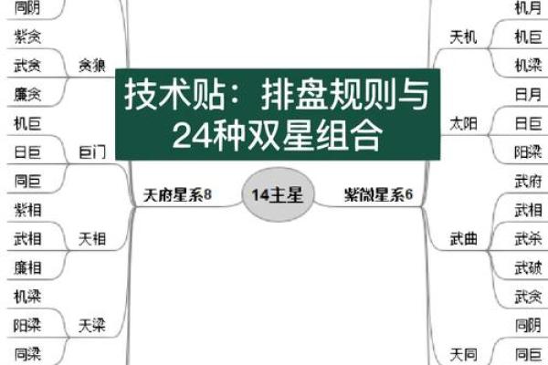 包含紫薇斗数菜鸟入门的词条
