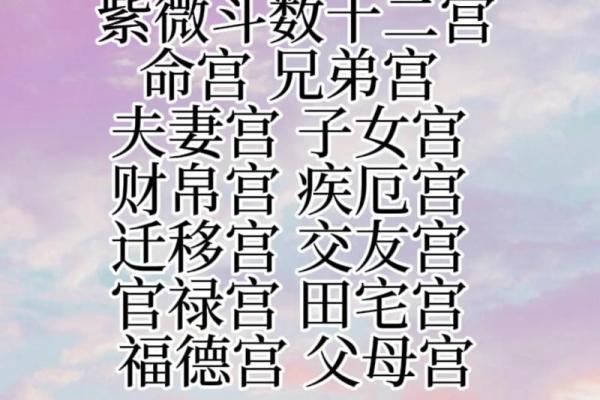 紫薇斗数身宫在哪