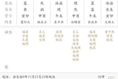 如何利用四柱八字成为成功的官员