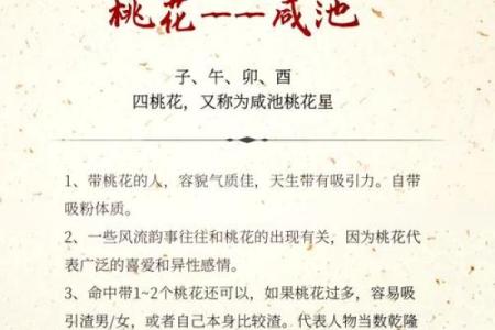 算命说桃花贵人在东北