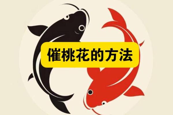 如何利用风水调整来提升桃花运