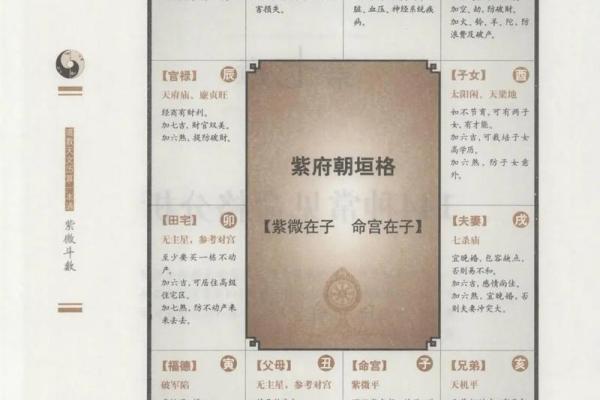 紫薇斗数斗君的意义