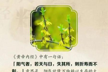 立春风水养阳助生发运气好的方法如何实现