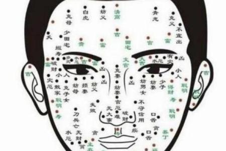 脸上各部位的胎记算命