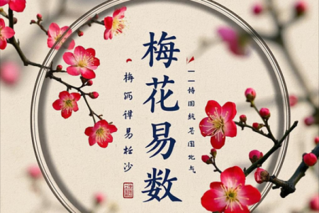 用梅花易数可以算命吗