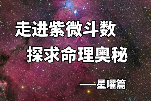 紫薇斗数文案搞笑