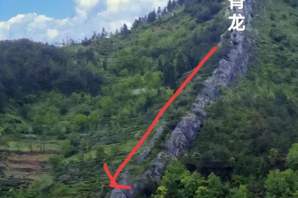 山的风水_每座山都有龙脉吗
