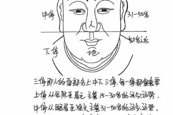 相书算命面相 相书中的面相能算命吗