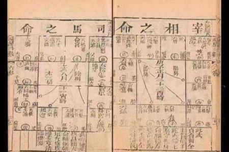 紫薇斗数中天才