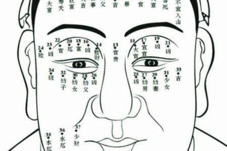 面相算命图解十二宫之：命宫