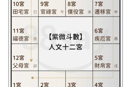 紫薇斗数权忌科