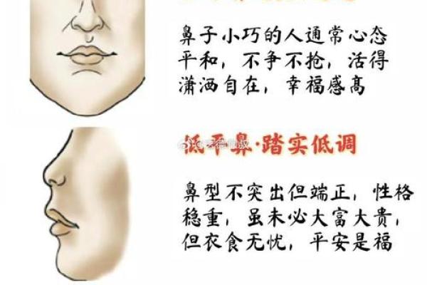 济缘算命:解读鼻子对命运的影响 济缘算命:解读鼻子对命运的影响