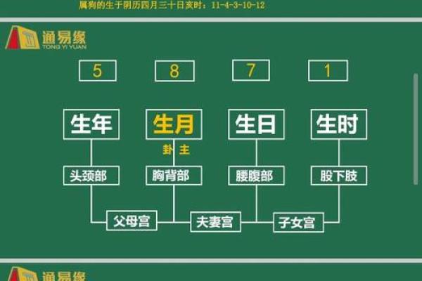 八字命理基础知识,八字必背知识全册 八字命理基础知识,八字必背知识全册