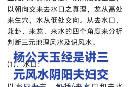 风水阴阳_十六字阴阳风水秘术一书是真的还是假的