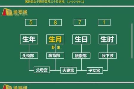 八字命理基础知识,八字必背知识全册