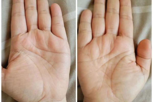 川字掌算命分析