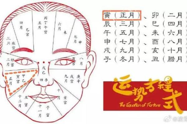 看头发面相知道运势 面相头发算命 看头发面相知道运势 面相头发算命