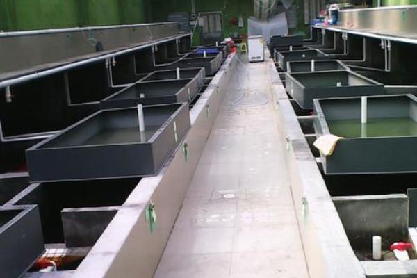 给工厂、企业看风水的注意细节