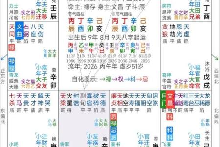 紫薇斗数官府是什么意思