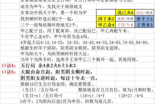 紫薇星盘斗数排盘