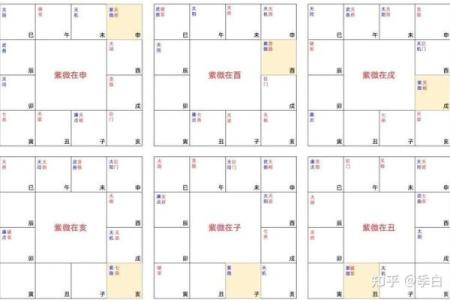 紫薇斗数好命盘